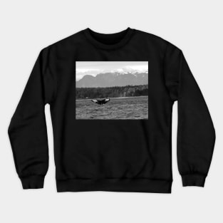 A Humpback Whale Dives Off the Shores of British Columbia Crewneck Sweatshirt